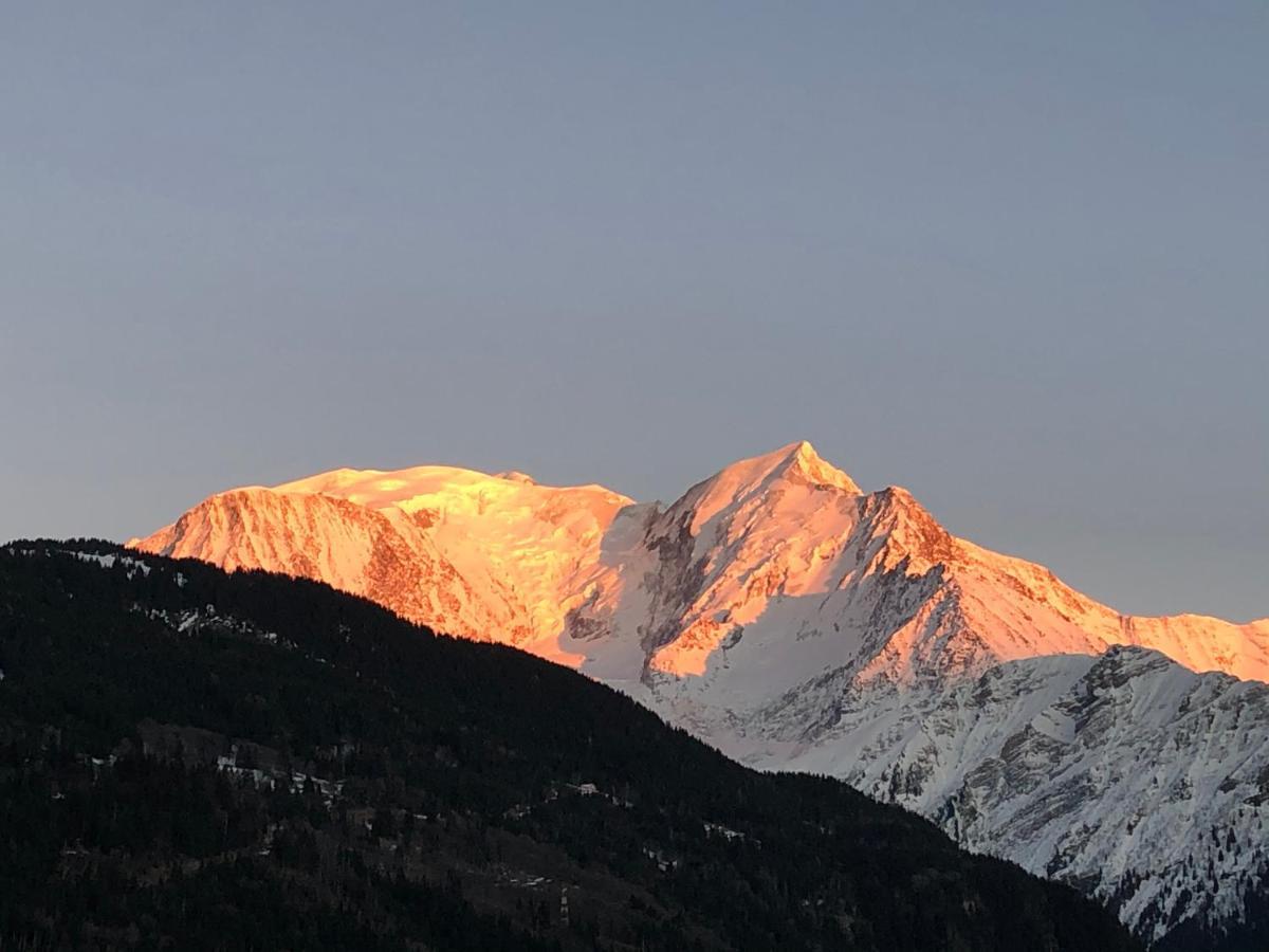 Le Petit Chamois Apartment Saint-Gervais-les-Bains Bagian luar foto